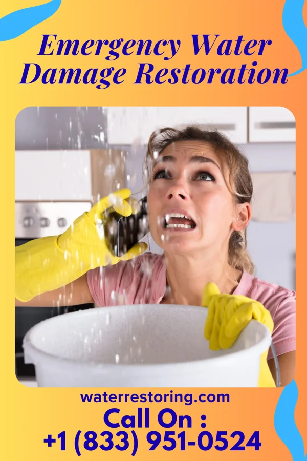Emergency Water Damage Restoration in Terril, IA