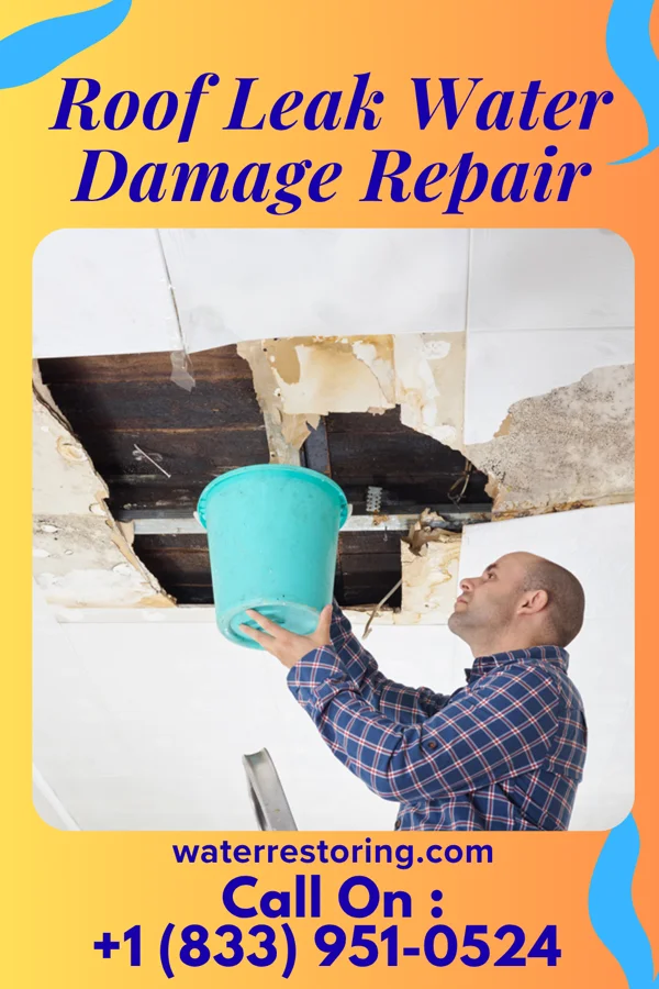 Roof Leak Water Damage Repair in Terril, IA